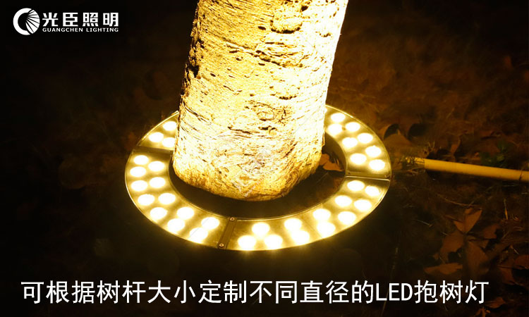 LED抱樹燈