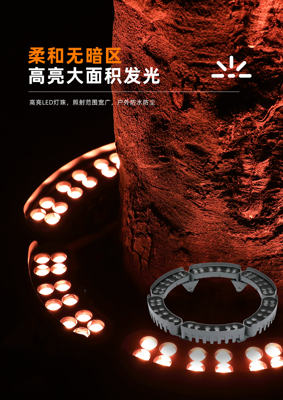 抱樹(shù)燈_05 抱樹(shù)燈_05